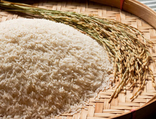 روش های تشخیص برنج ایرانی اصل از تقلبی